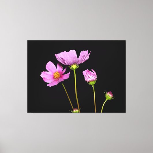 Nachtkosmos Leinwanddruck (Vorderseite)