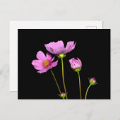 Nachtkosmos Postkarte (Vorne/Hinten)