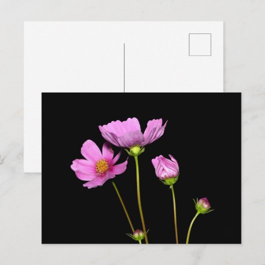 Nachtkosmos Postkarte (Vorne/Hinten)