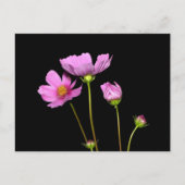 Nachtkosmos Postkarte (Vorderseite)