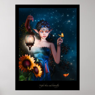 Nächtliche Himmel und Butterflys Poster