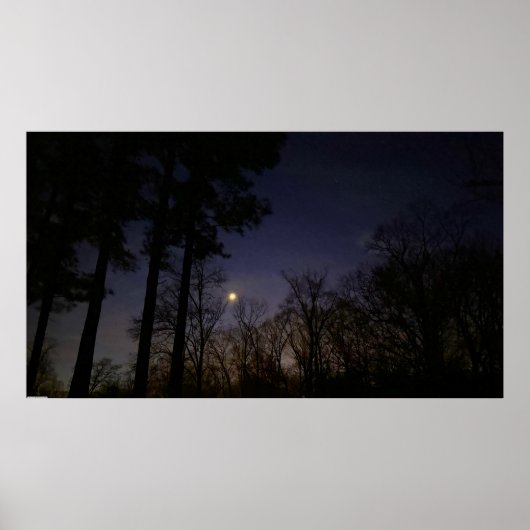 Nachtlicht, Poster (Vorne)