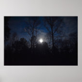 Nachtlicht, Poster (Vorne)