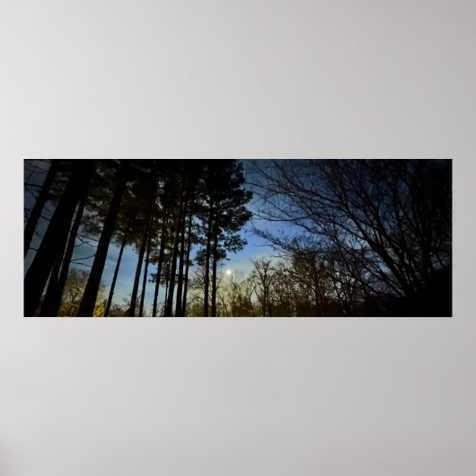 Nachtlicht, Poster (Vorne)