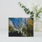 Nachtlicht Postkarte (Stehend Vorderseite)