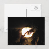 Nachtmond Postkarte (Vorne/Hinten)