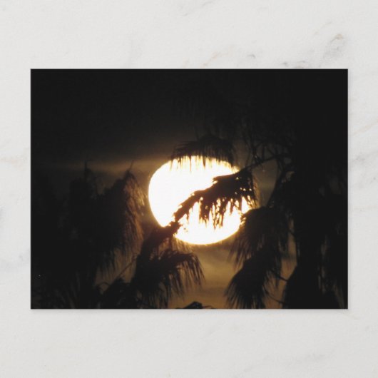 Nachtmond Postkarte (Vorderseite)