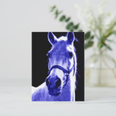 Nachtpferd Postkarte (Stehend Vorderseite)