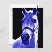 Nachtpferd Postkarte (Vorne/Hinten)