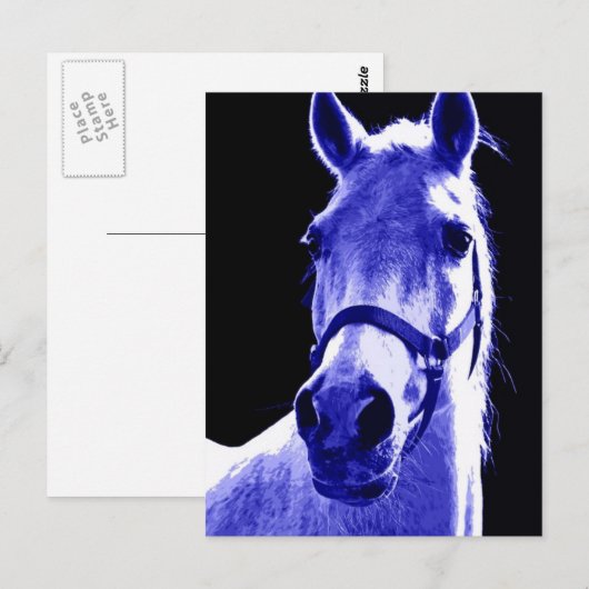 Nachtpferd Postkarte (Vorne/Hinten)