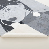 Nachtportrait Sherpadecke (3/4)