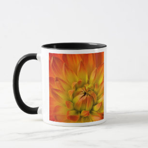 Nachträgliche Fotografien der Dalhia-Blume mit de Tasse