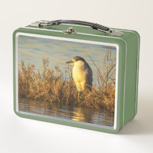 Nachtreiher-Lunchbox Golden Marsh Wildlife Metall Brotdose