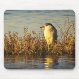 Nachtreiher-Mauspad Goldene Sumpfvogel-Kunst Mousepad