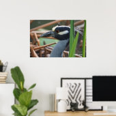 Nachtreiher mit gelber Krone Poster (Heimbüro)