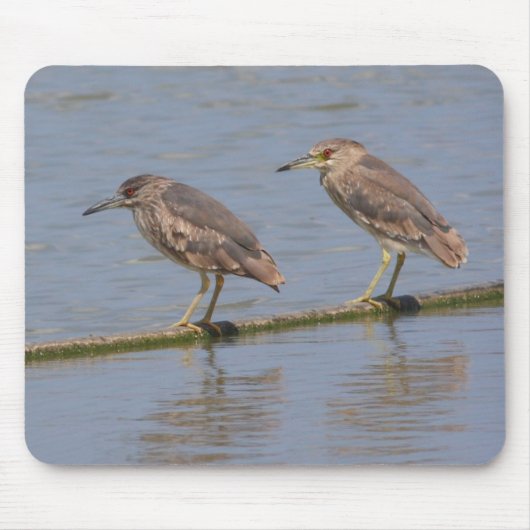 Nachtreiher Mousepad (Vorne)
