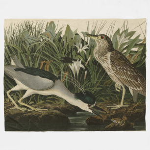 Nachtreiher, Qua Bird, Audubons Vögel von Amerika Fleecedecke