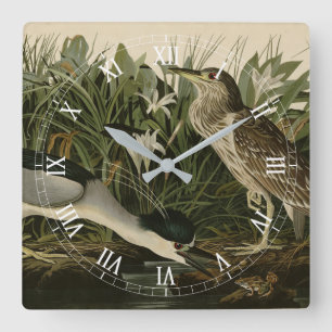 Nachtreiher, Qua Bird, Audubons Vögel von Amerika Quadratische Wanduhr