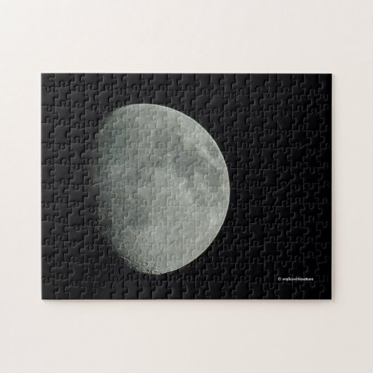 Nachts den Mittelsommermond waxen Puzzle (Horizontal)