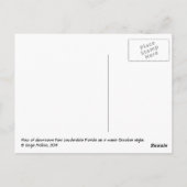 Nachts die Skyline von Fort Lauderdale Postkarte (Rückseite)