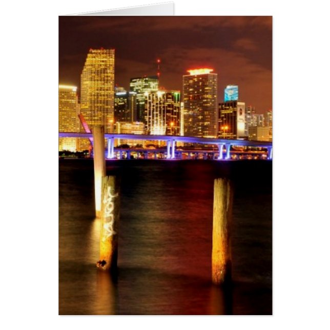 Nachts die Skyline von Miami, Florida (Vorne)