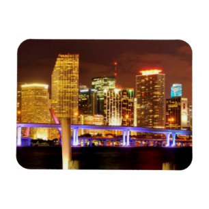 Nachts die Skyline von Miami, Florida Magnet