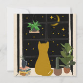 Nachts Kitty (Vorderseite)