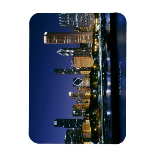 Nachts Skyline von Downtown Chicago Magnet (Vertikal)