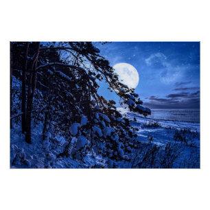 Nachts über schneebedeckten Tannenbaum und Meeresk Poster