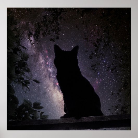 Nachtschau Poster (Vorne)