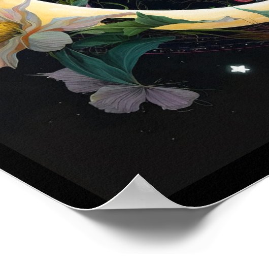 Nachtschmetterling Poster (Ecke)