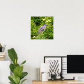 Nachtschwalbenposter mit Gelbkrone Poster (Heimbüro)