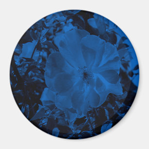 Nachtschwärmer.... Magnet