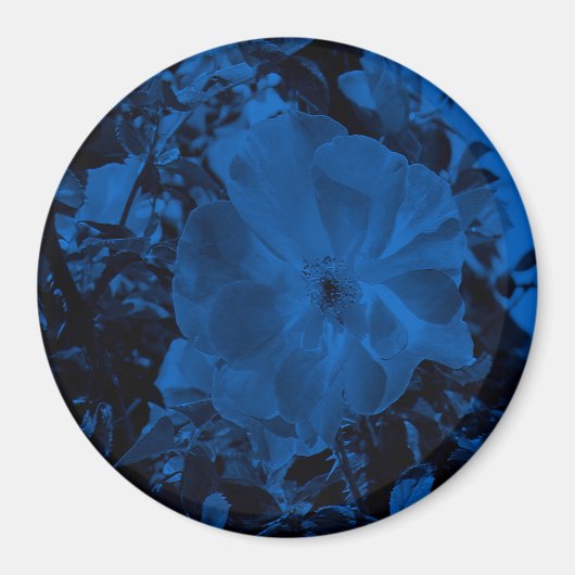 Nachtschwärmer.... Magnet (Vorne)