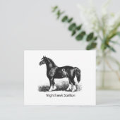Nachtschwärmer-StallionProdukt-Ausgewählt-Multiple Postkarte (Stehend Vorderseite)
