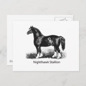 Nachtschwärmer-StallionProdukt-Ausgewählt-Multiple Postkarte (Vorne/Hinten)