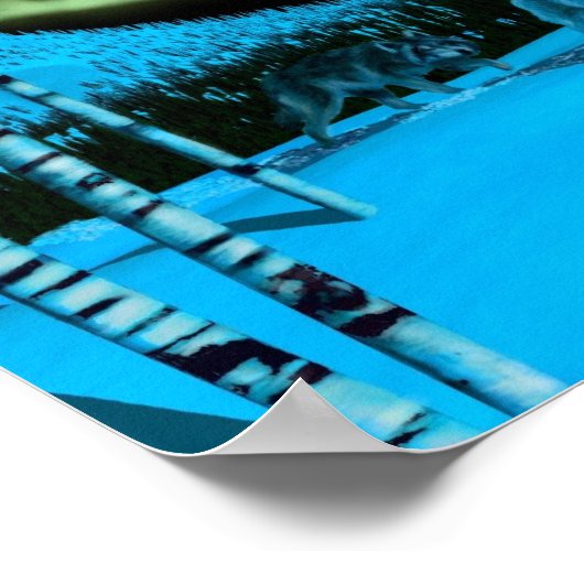 Nachtschwärmerin Poster (Ecke)