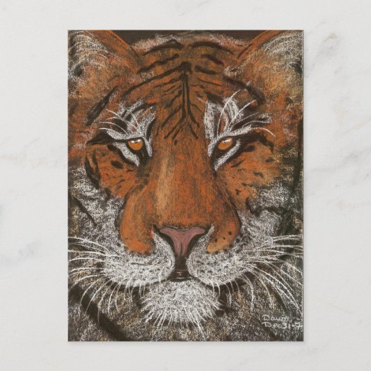 Nachttiger Postkarte (Vorderseite)