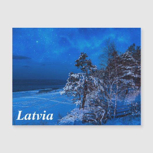 Nachtwinterszene mit schneebedeckten Kiefern Magnetkarte (Vorderseite)