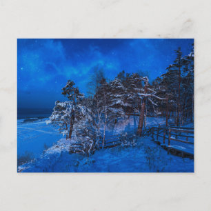 Nachtwinterszene mit schneebedeckten Kiefern Postkarte