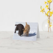 Nachverfolgung von Labrador-Retrievers im Schneefa Karte (Gelbe Blume)