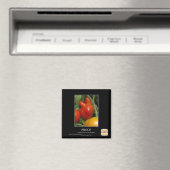 Nachweis Magnet (In Situ (Geschirrspüler))
