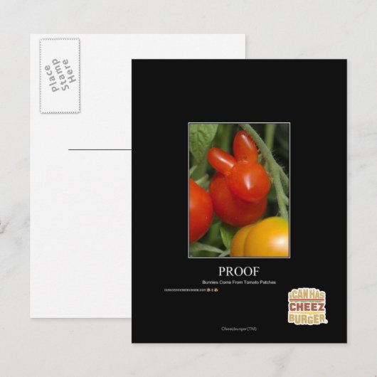 Nachweis Postkarte (Vorne/Hinten)