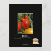 Nachweis Postkarte (Vorderseite)