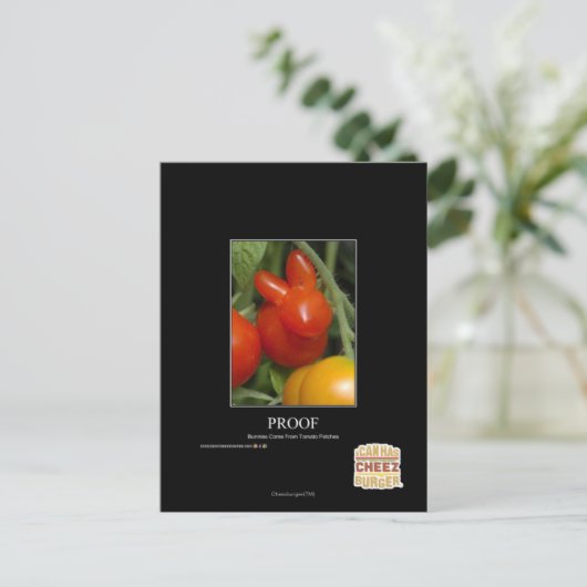 Nachweis Postkarte (Stehend Vorderseite)