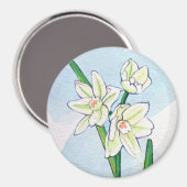 Nacissus Magnet (Vorderseite/Rückseite)