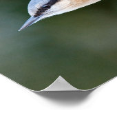 Nackt auf Feeder Poster (Ecke)