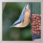 Nackt auf Feeder Poster (Vorne)