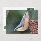 Nackt auf Feeder Postkarte (Vorne/Hinten)