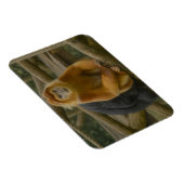 Nacktfresser Affe in der Waldhütte Magnet (Rechte Seite)